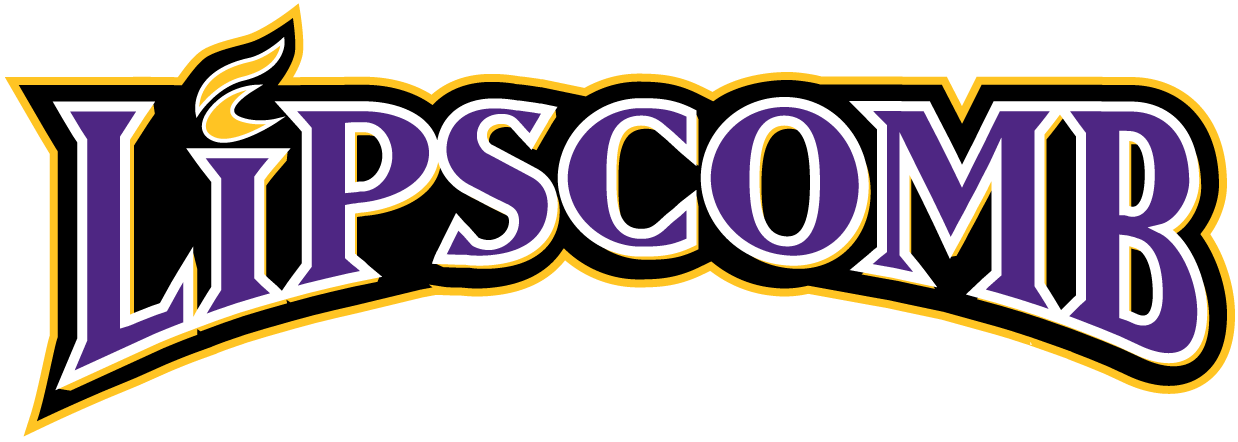 Lipscomb Bisons 2002-2011 Wordmark Logo iron on transfers for clothing